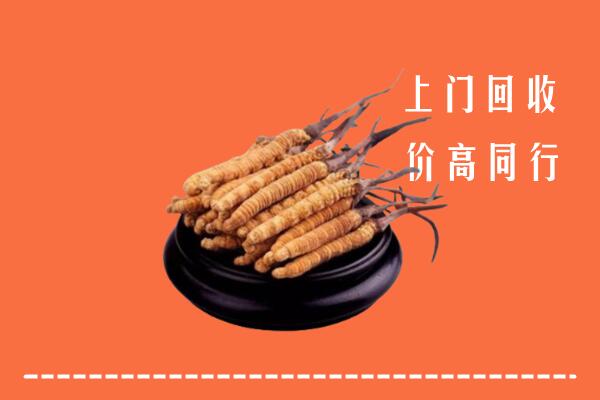 高价求购：临沂郯城回收散虫草