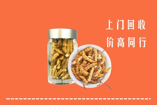 临沂郯城回收冬虫夏草